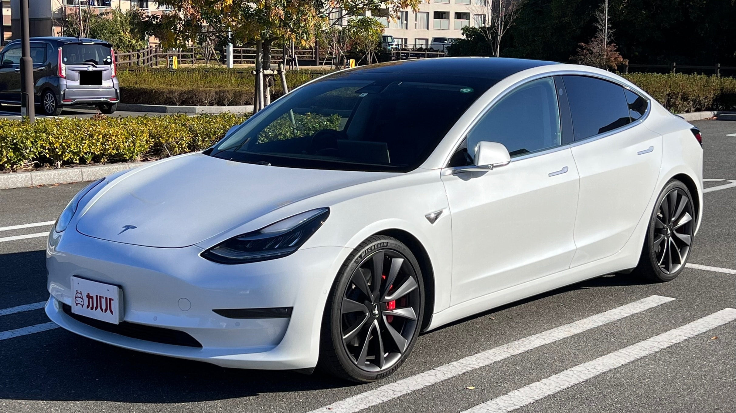 Tesla テスラ モデル３ ロングレンジ 2022年式 FSDオプション - 外国 